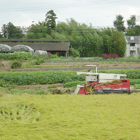 til活動記録・実績