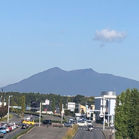 til活動記録・実績